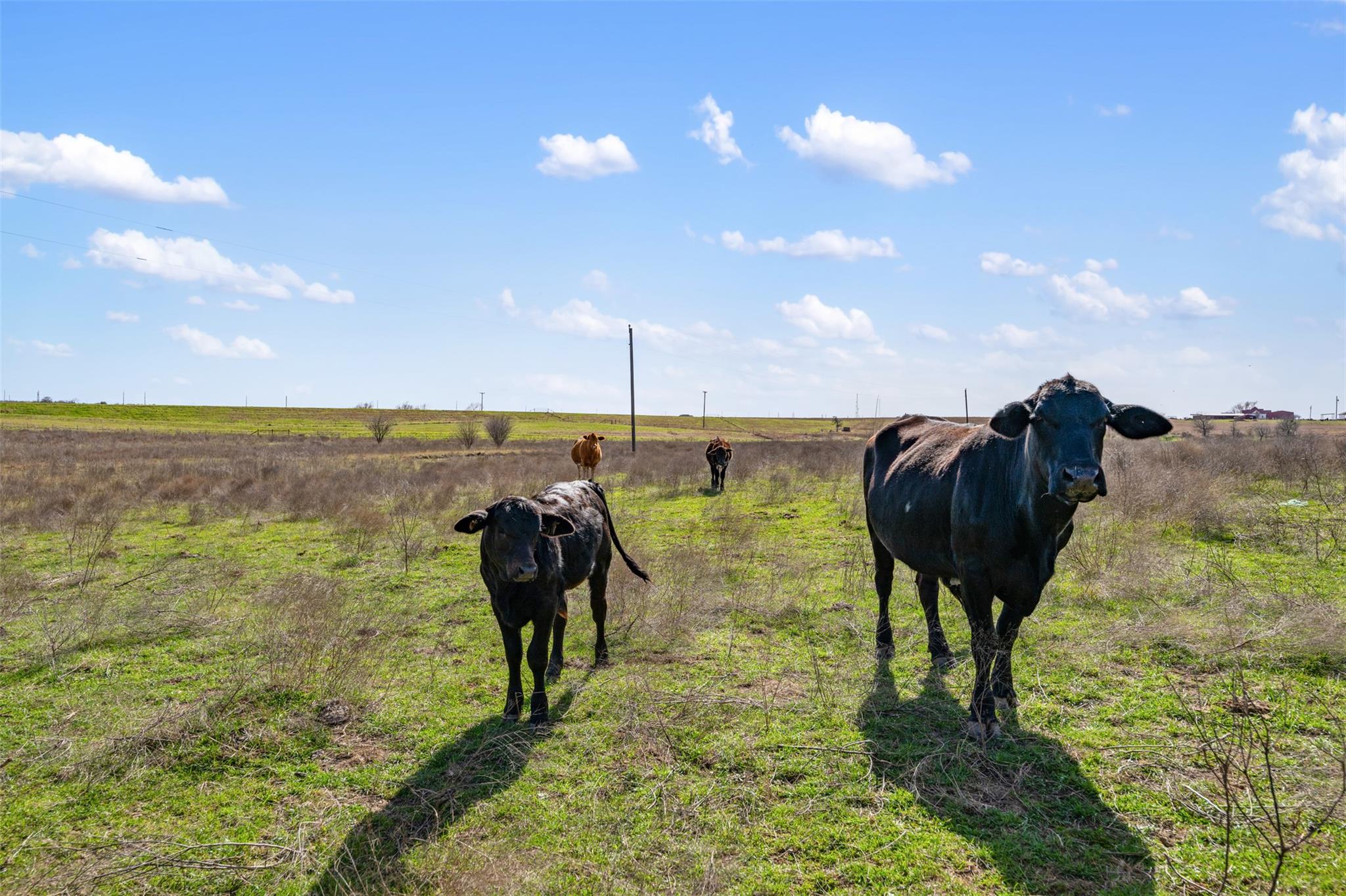 700 County Road 466 Elgin TX 78621