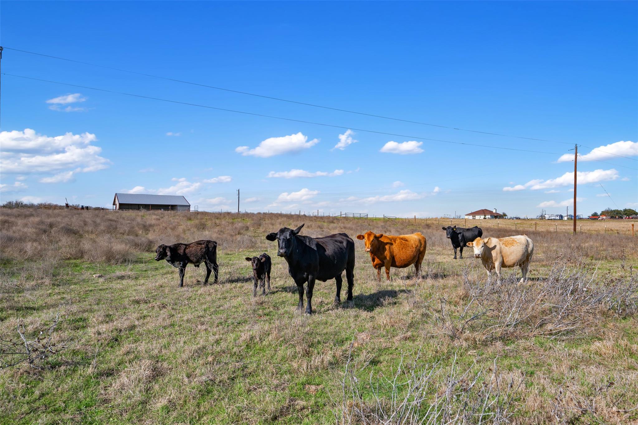 700 County Road 466 Elgin TX 78621