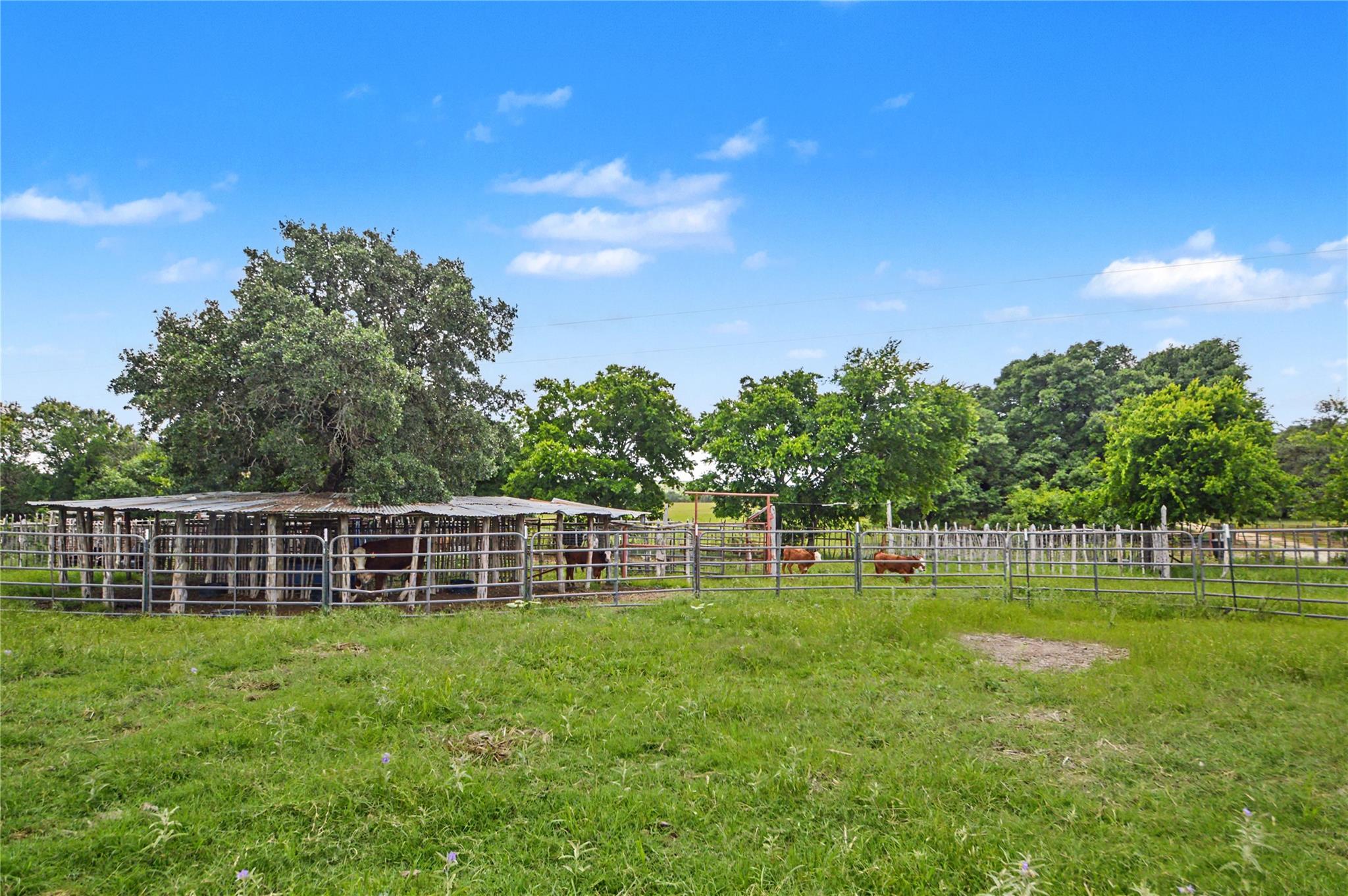 179 E County Road 318 Road Goldthwaite TX 76844