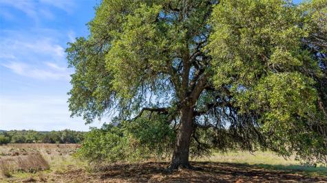 6590 Us 290 Dripping Springs TX 78620