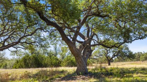 6590 Us 290 Dripping Springs TX 78620