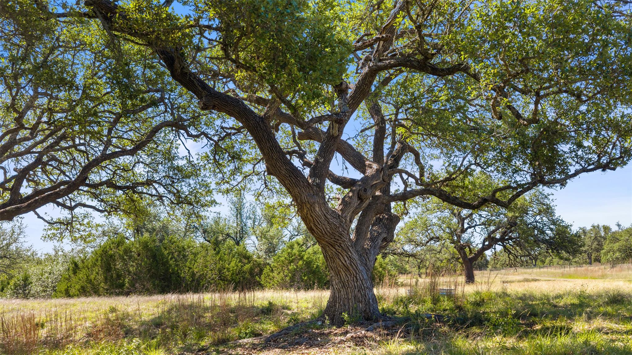 6590 Us 290 Dripping Springs TX 78620