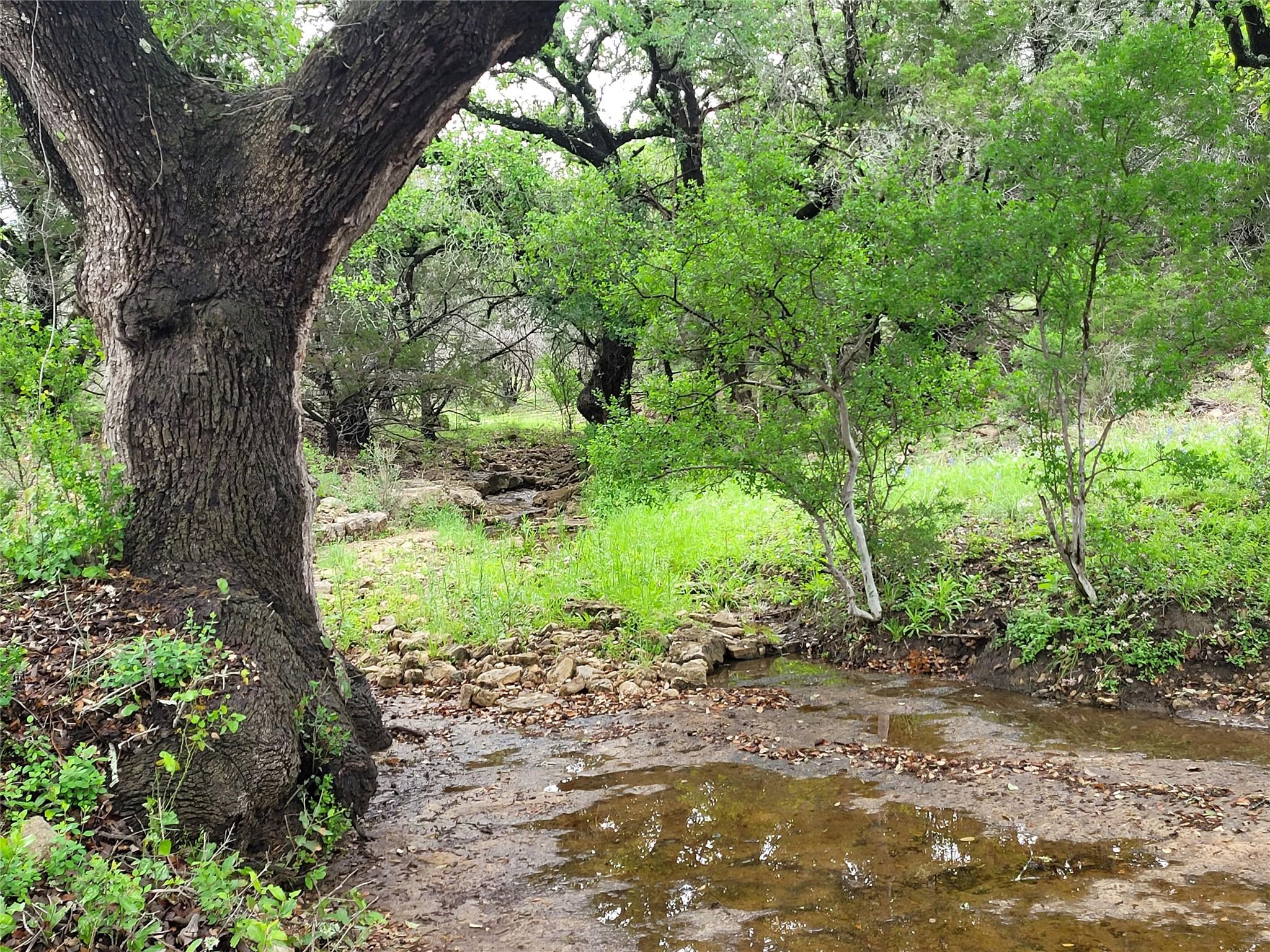 9939 County Road 404 Spicewood TX 78669