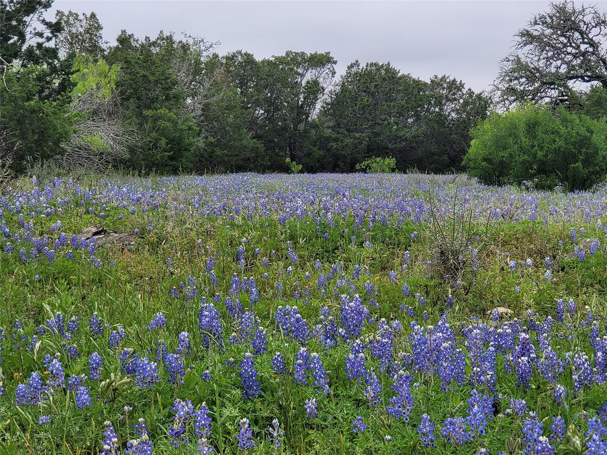 9939 County Road 404 Spicewood TX 78669