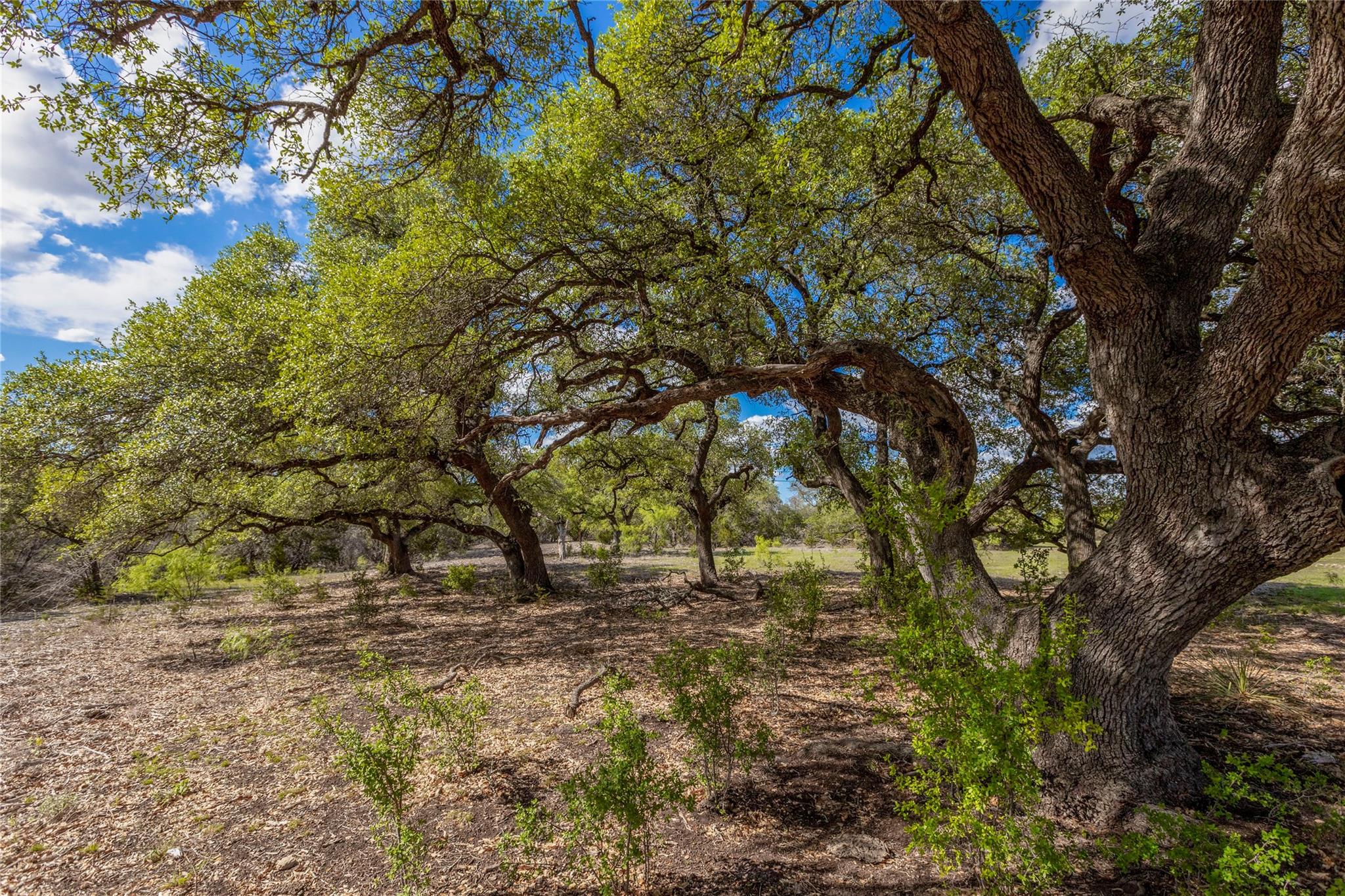 9939 County Road 404 Spicewood TX 78669