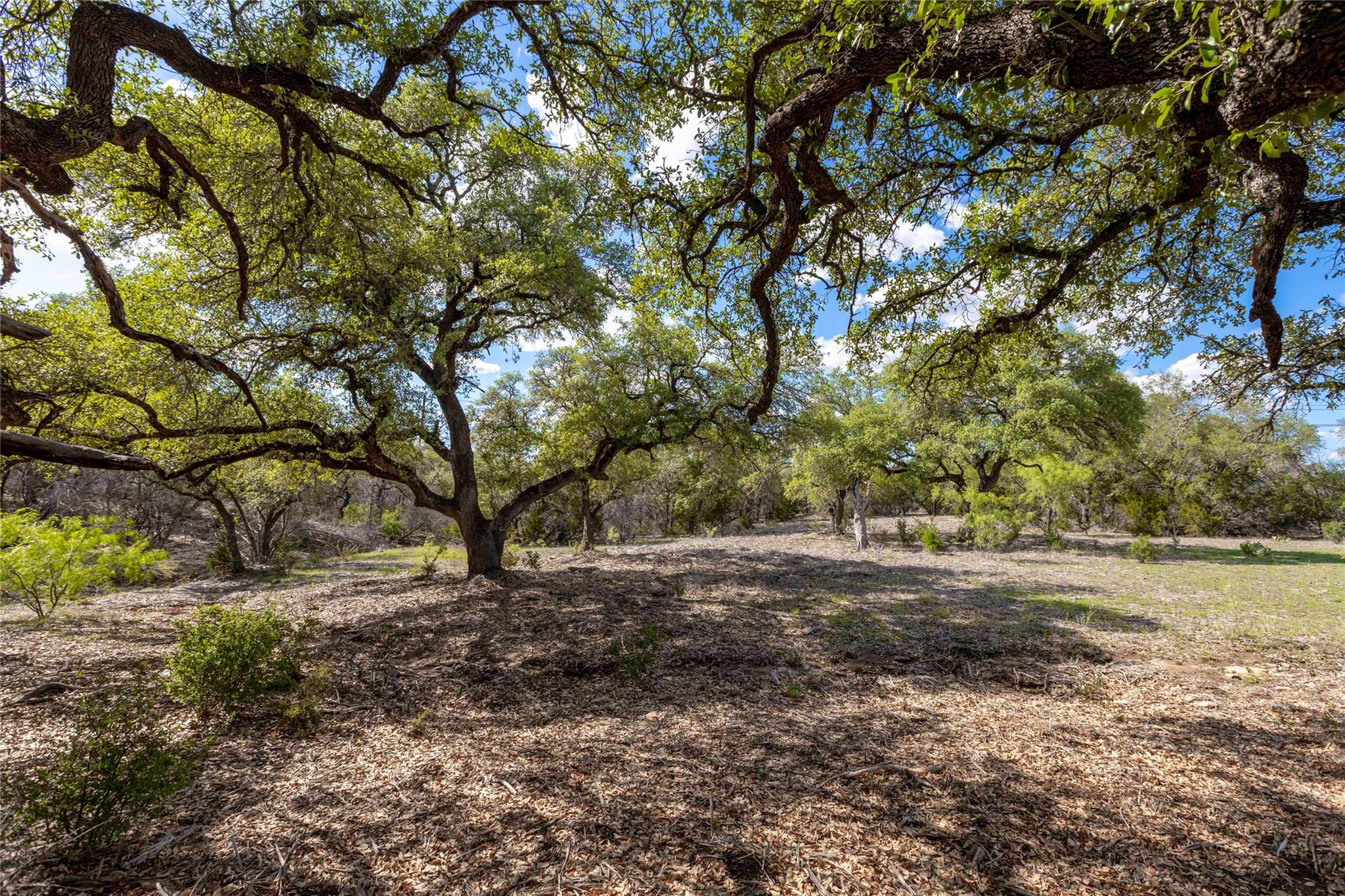 9939 County Road 404 Spicewood TX 78669