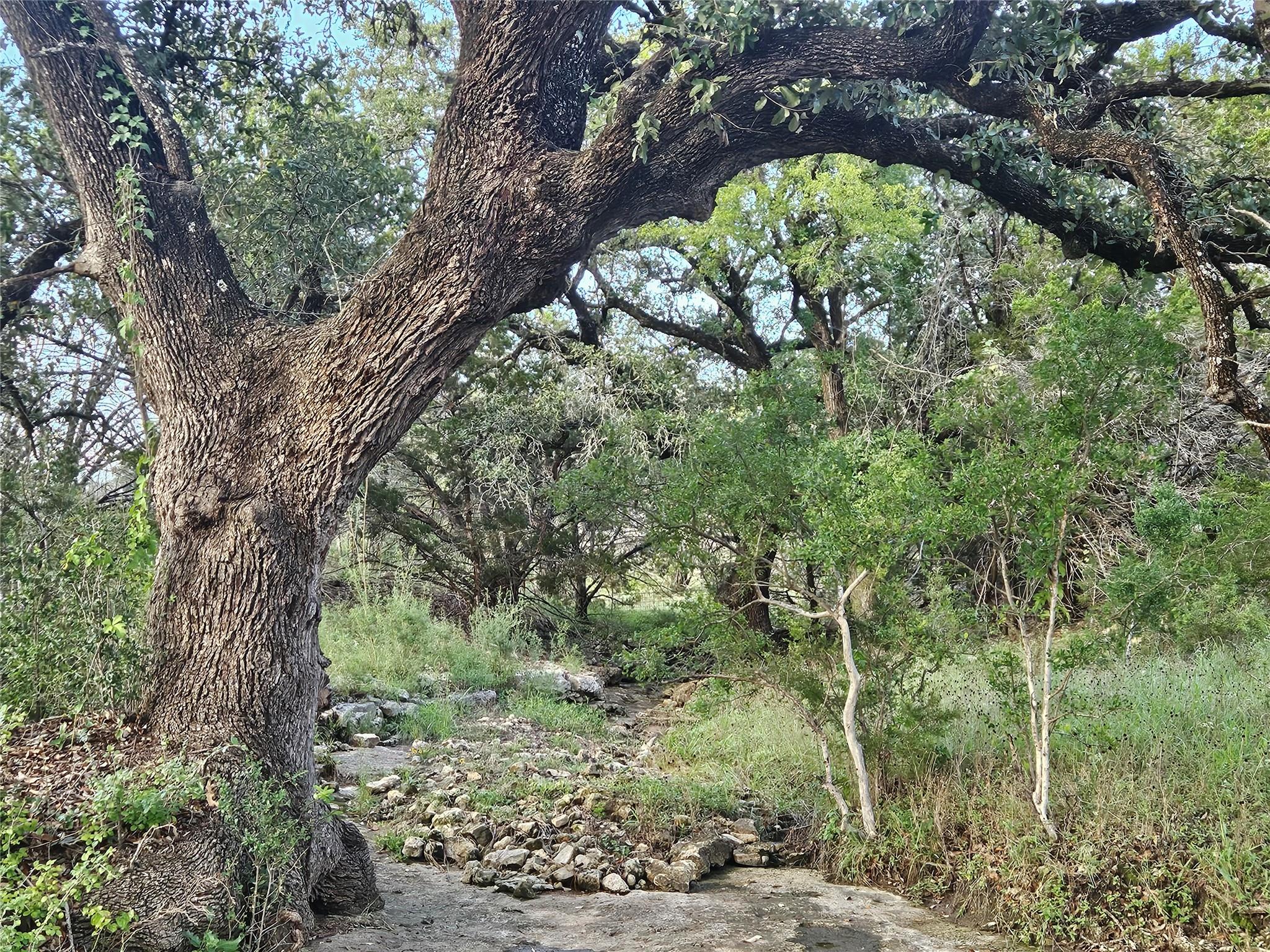9939 County Road 404 Spicewood TX 78669