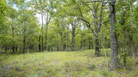418 County Road 405 Buckholts TX 76518
