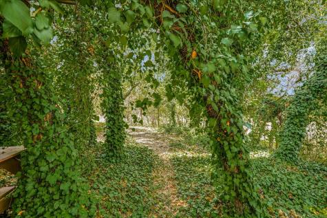 175 Fischer Trail Wimberley TX 78676