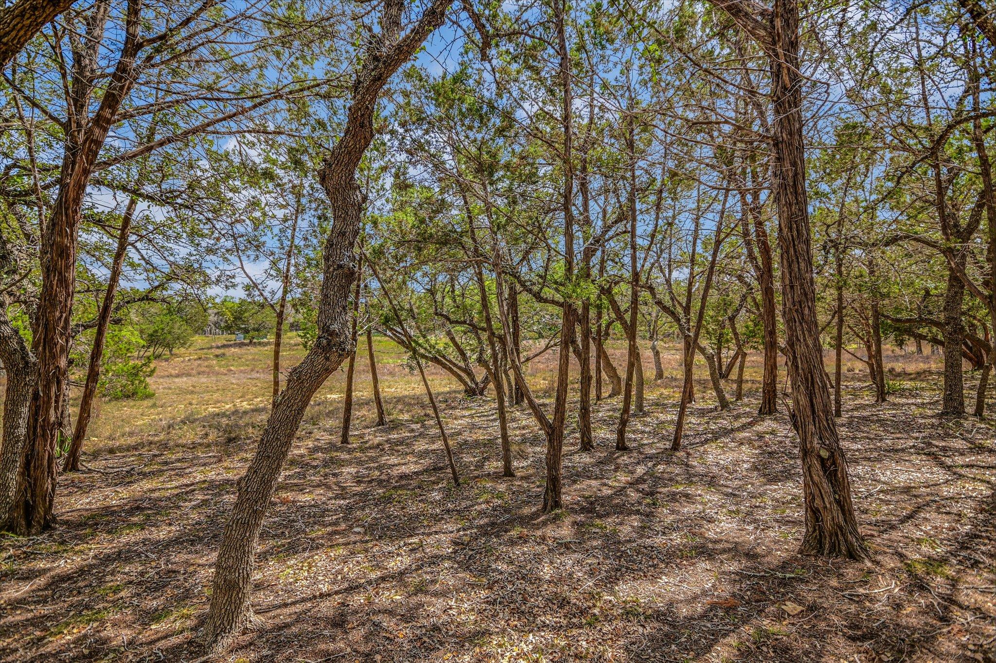 175 Fischer Trail Wimberley TX 78676