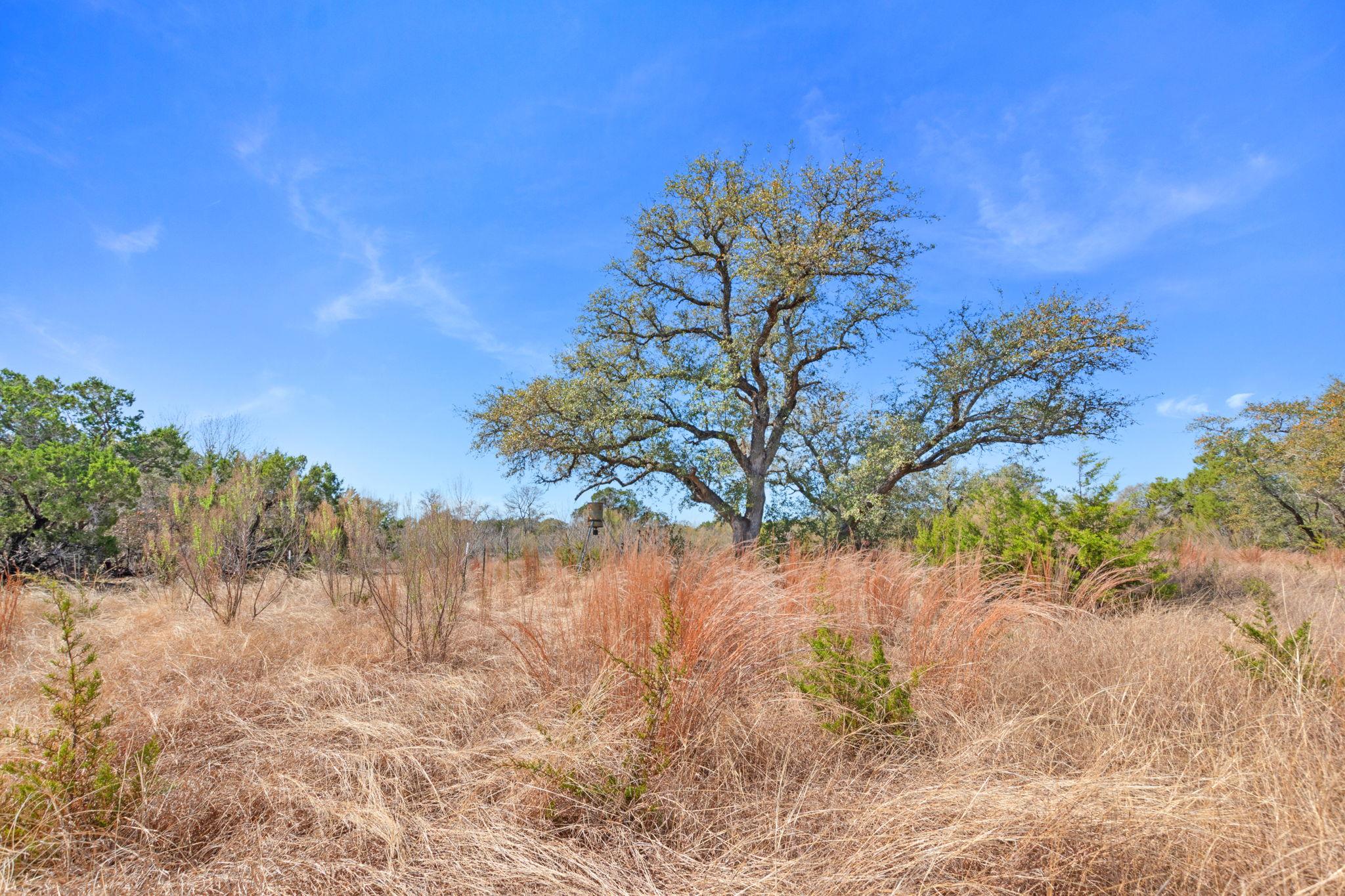 Tbd Carpenter Court Corner Burnet TX 78611