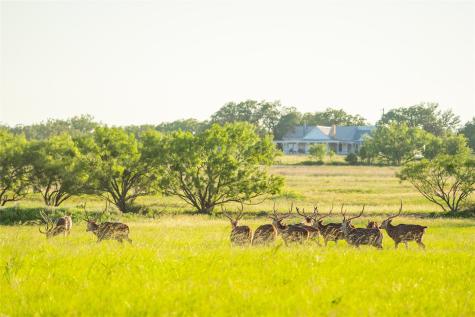 0 County Road 476 Road Brady TX 76872