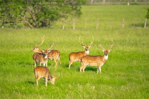 0 County Road 476 Road Brady TX 76872