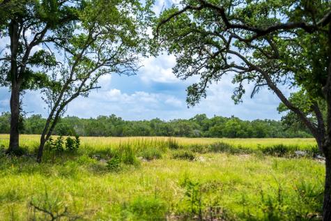 3979 Chimney Valley Road Blanco TX 78606