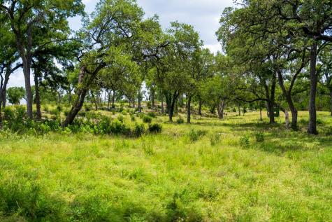 3979 Chimney Valley Road Blanco TX 78606