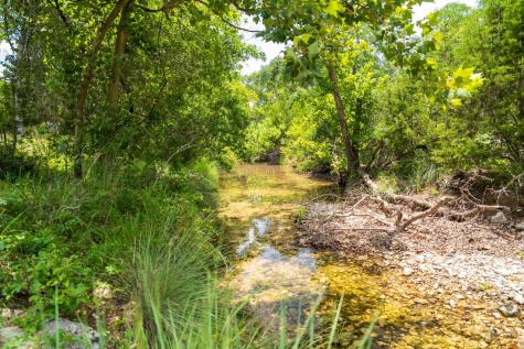 3979 Chimney Valley Road Blanco TX 78606