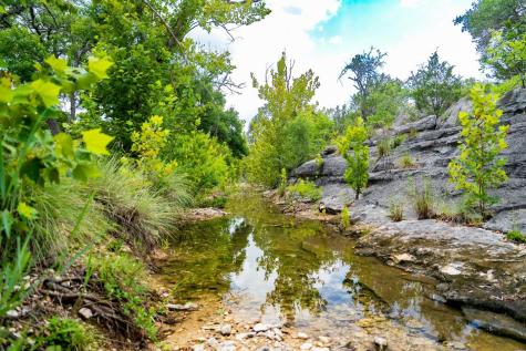 3979 Chimney Valley Road Blanco TX 78606