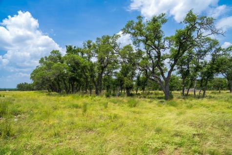 3979 Chimney Valley Road Blanco TX 78606