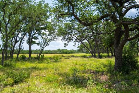 3979 Chimney Valley Road Blanco TX 78606