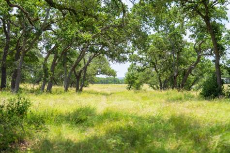 3979 Chimney Valley Road Blanco TX 78606