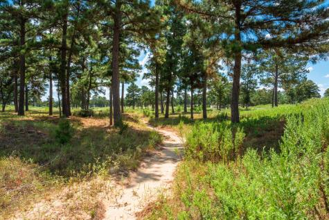 212 Meuth Cemetery Road Red Rock TX 78662