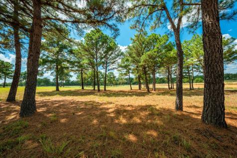 212 Meuth Cemetery Road Red Rock TX 78662