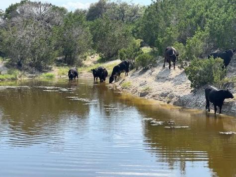 Lot 22 Rifle Ridge Burnet TX 78611
