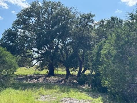 Lot 22 Rifle Ridge Burnet TX 78611