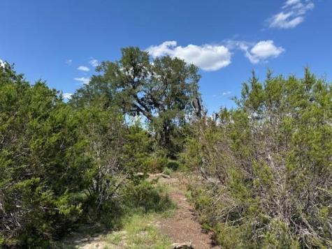 Lot 22 Rifle Ridge Burnet TX 78611