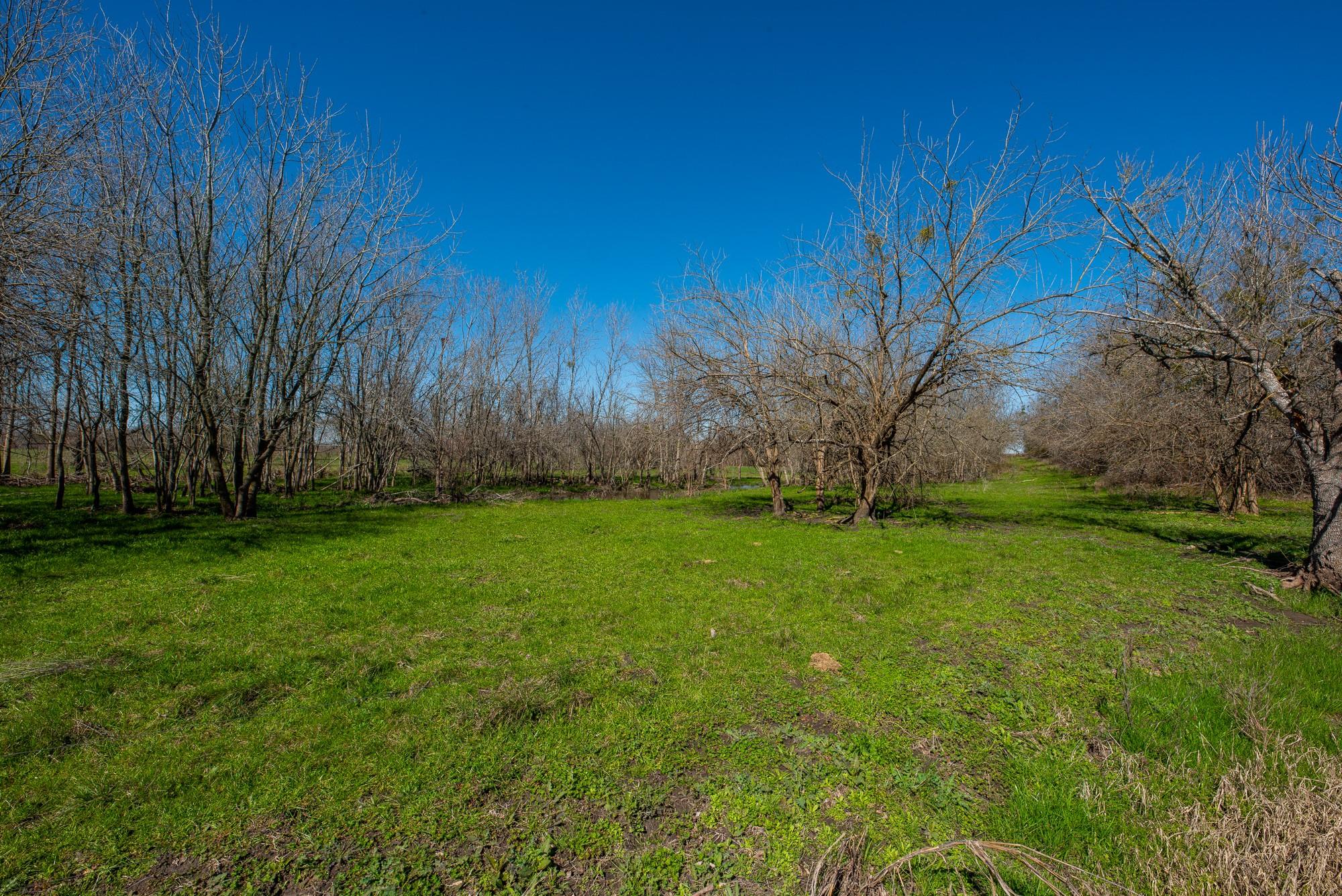 901 County Road 398 Taylor TX 76574