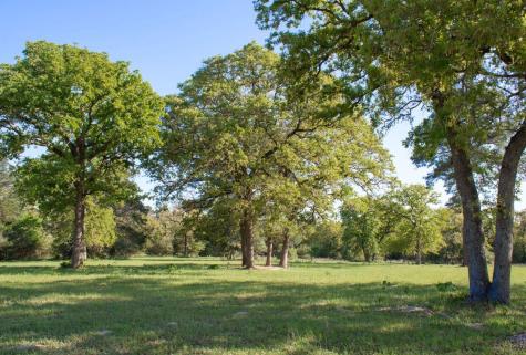 490 John Craft Road Red Rock TX 78662