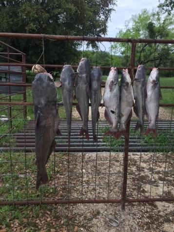 2102 Private Road 1377 Lampasas TX 76550