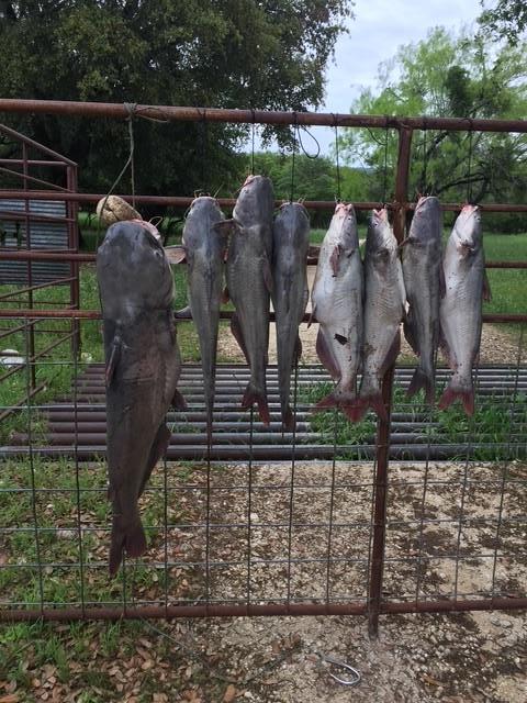 2102 Private Road 1377 Lampasas TX 76550