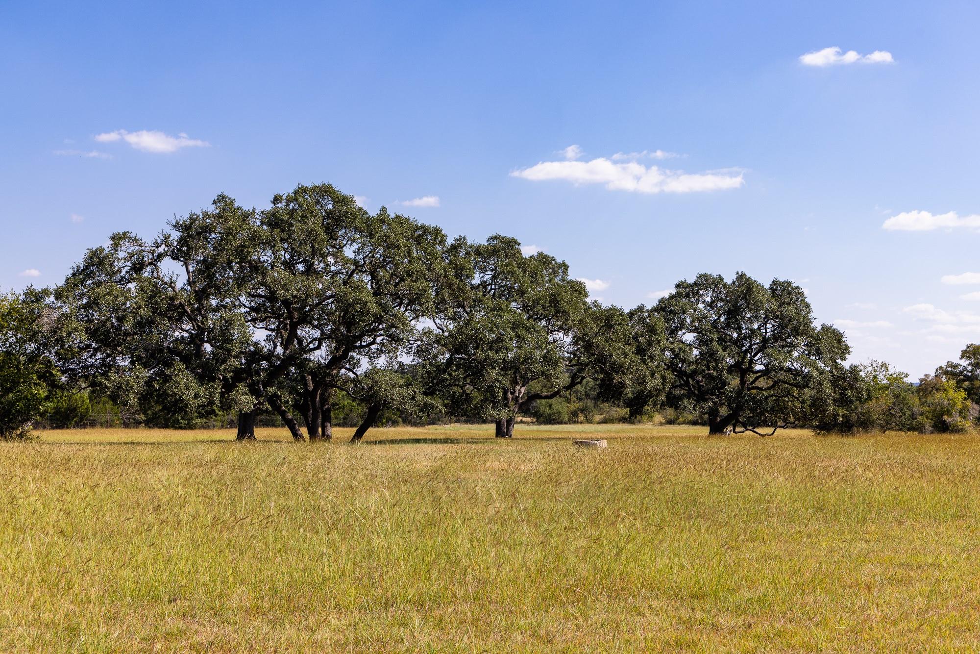 3551 Rm 2325 Wimberley TX 78676