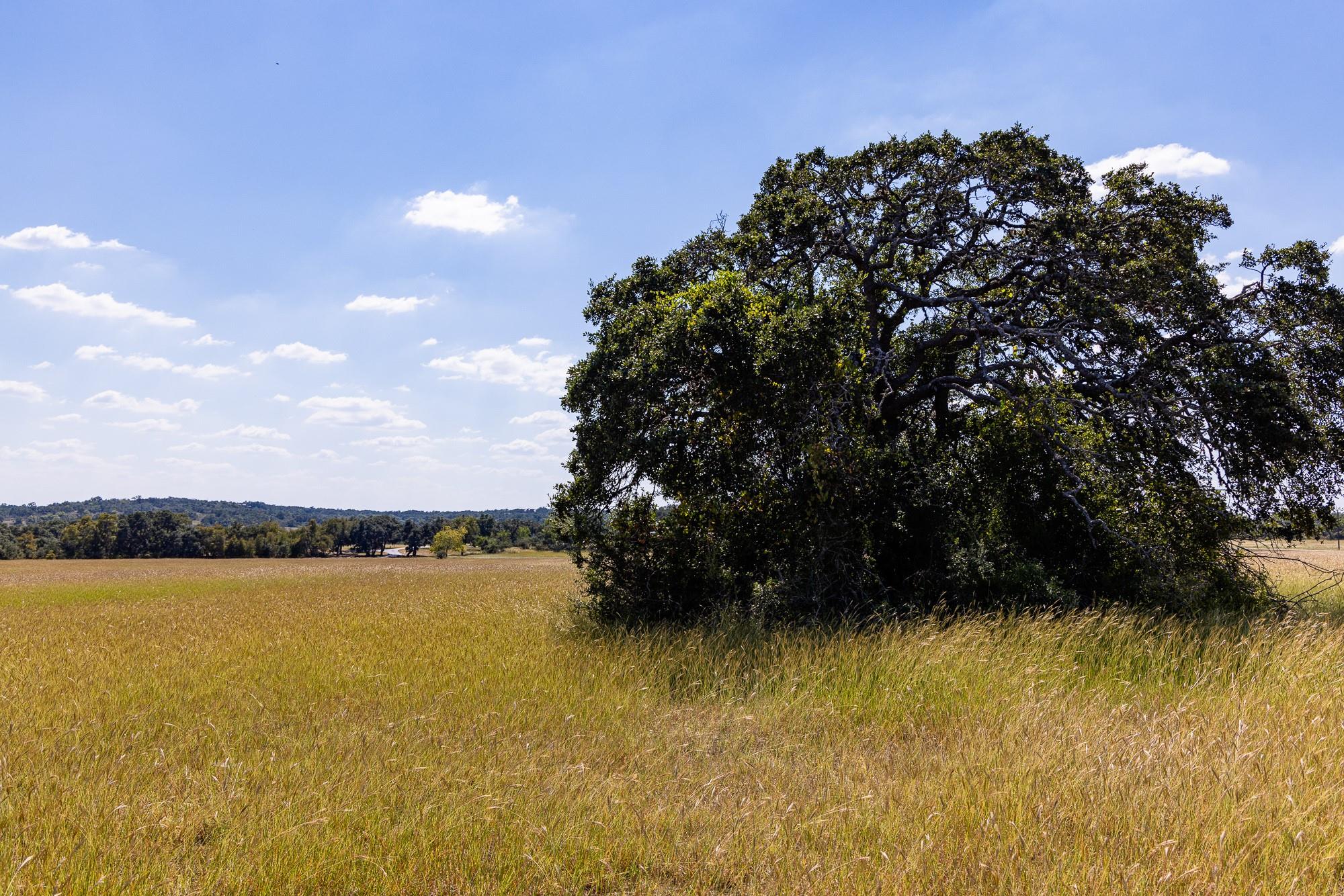 3551 Rm 2325 Wimberley TX 78676
