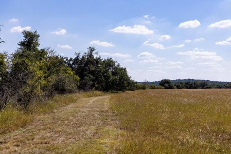 3551 Rm 2325 Wimberley TX 78676