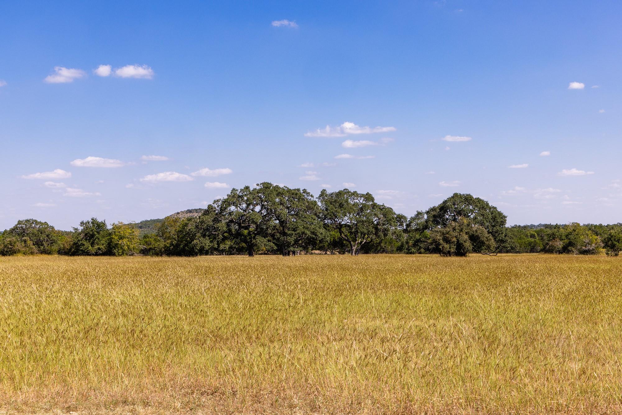 3551 Rm 2325 Wimberley TX 78676