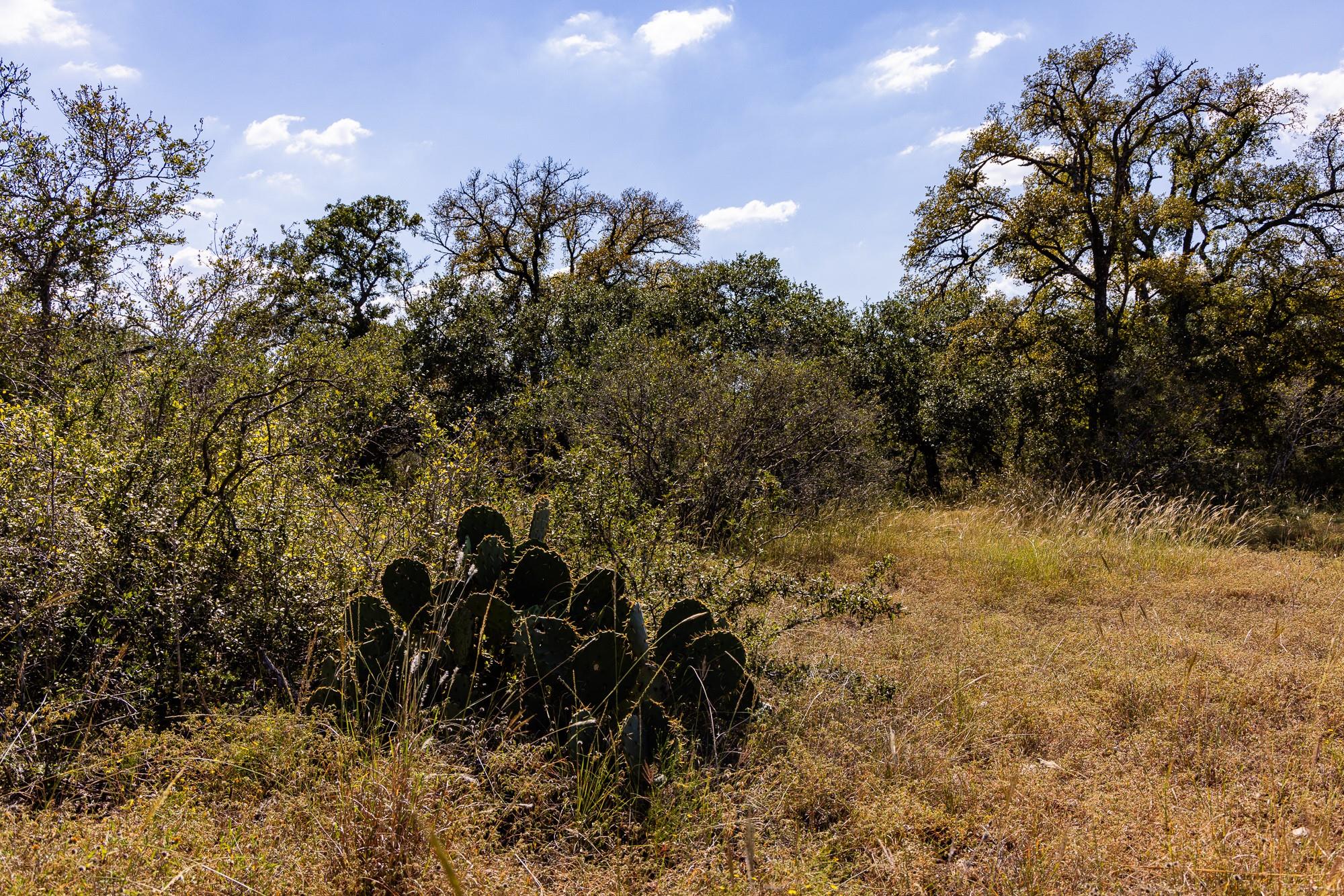 3551 Rm 2325 Wimberley TX 78676
