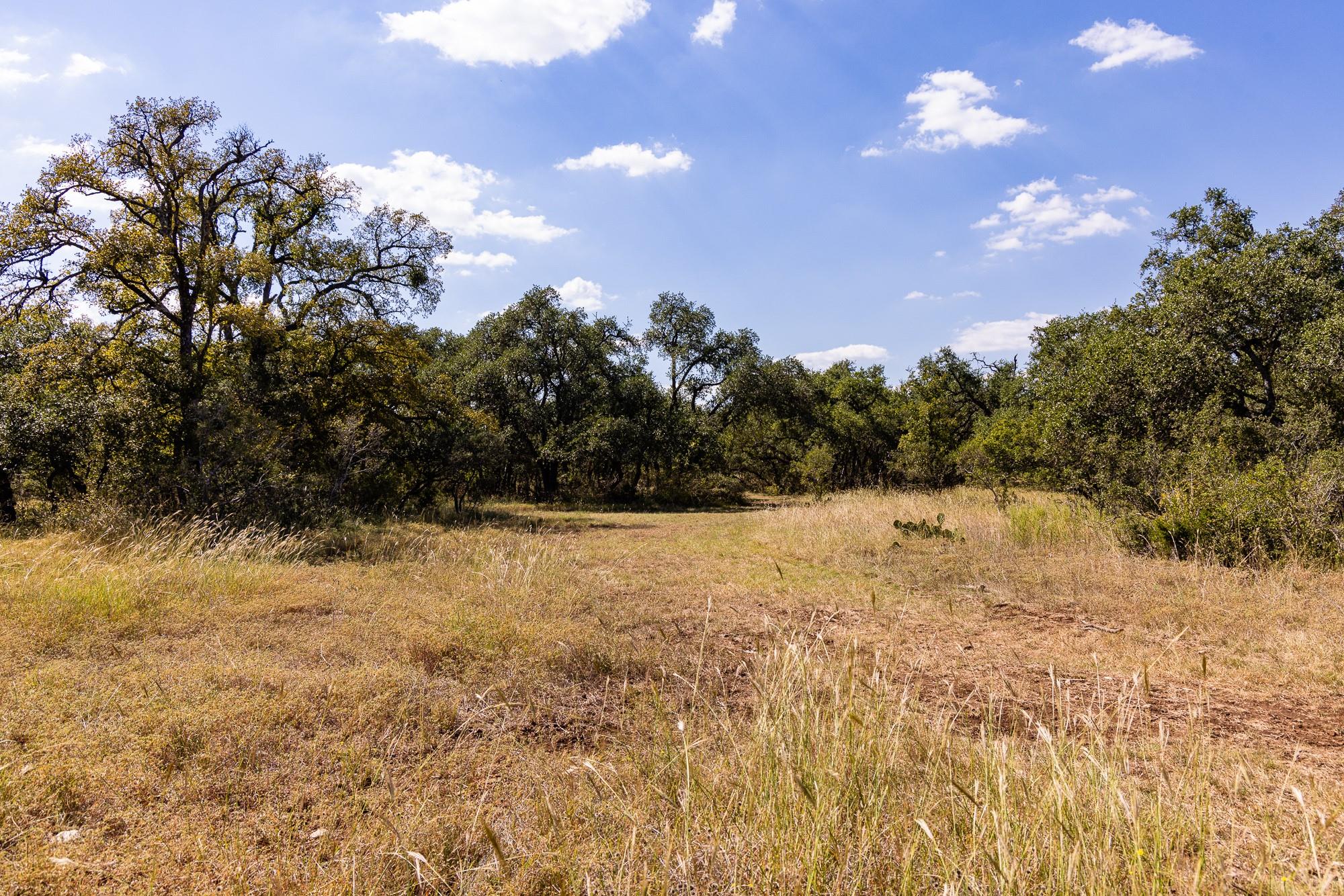 3551 Rm 2325 Wimberley TX 78676
