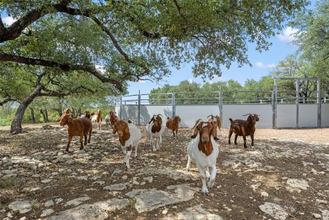 2400 W Fitzhugh Road Dripping Springs TX 78620