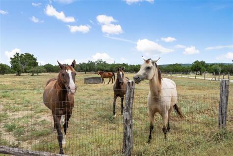 2400 W Fitzhugh Road Dripping Springs TX 78620
