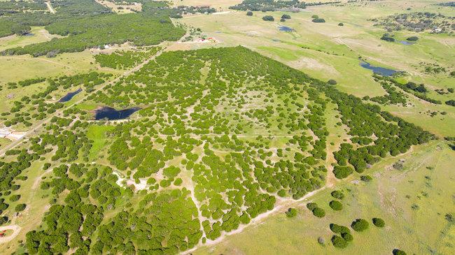 000 Watson-yeary Road Lampasas TX 76550