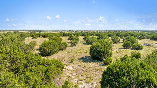 000 Watson-yeary Road Lampasas TX 76550