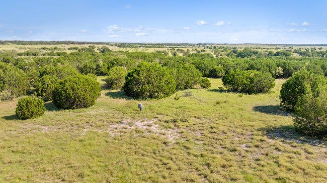 000 Watson-yeary Road Lampasas TX 76550