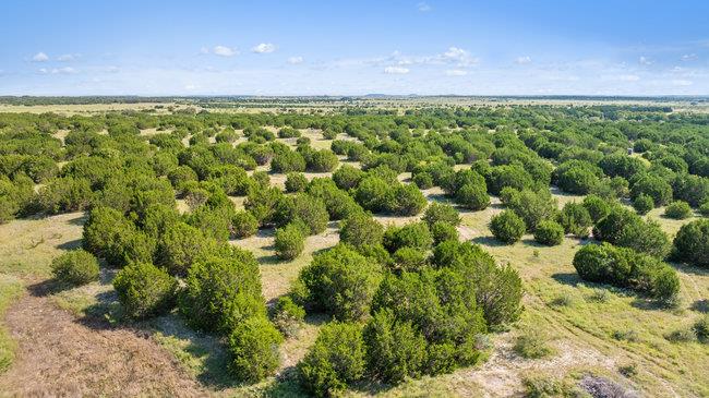 000 Watson-yeary Road Lampasas TX 76550