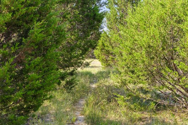 000 Watson-yeary Road Lampasas TX 76550