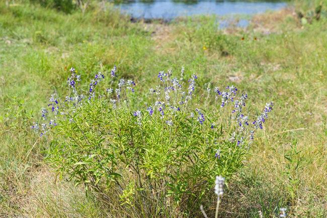 000 Watson-yeary Road Lampasas TX 76550