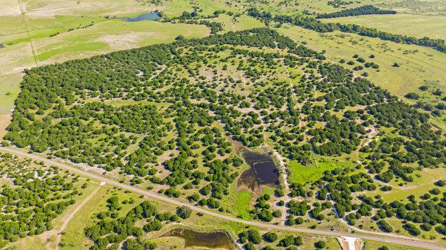 000 Watson-yeary Road Lampasas TX 76550