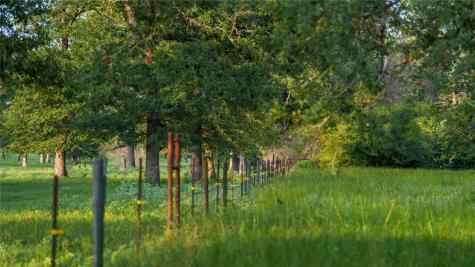 8058 Milam County Road 455 Thorndale TX 78947