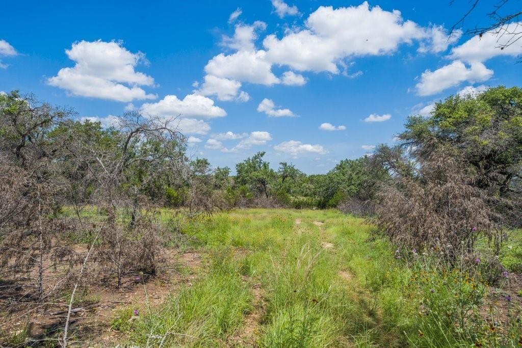 3700 Fm 2325 Tract 2 Wimberley TX 78676